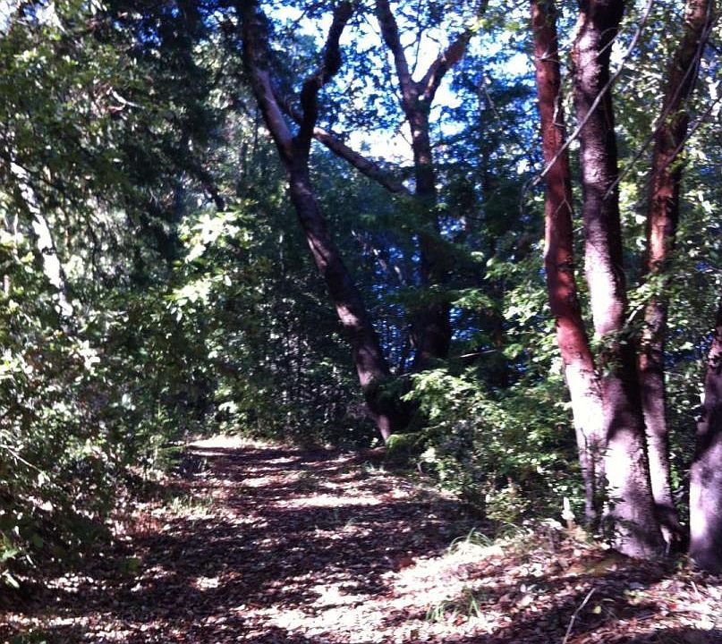 2nd image of 15251 Upper Zayante Rd