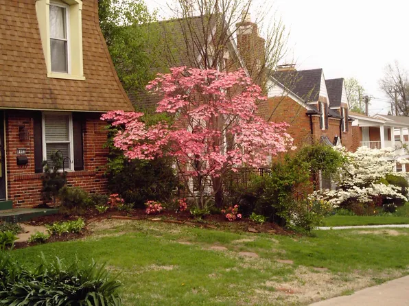 8400 Winzenburg Dr, Saint Louis, MO 63117