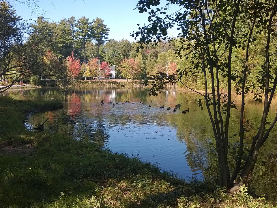 2nd image of 7 Cypress Creek Rd