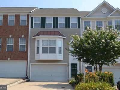 18558 Sierra Springs Sq, Leesburg, VA, 20176