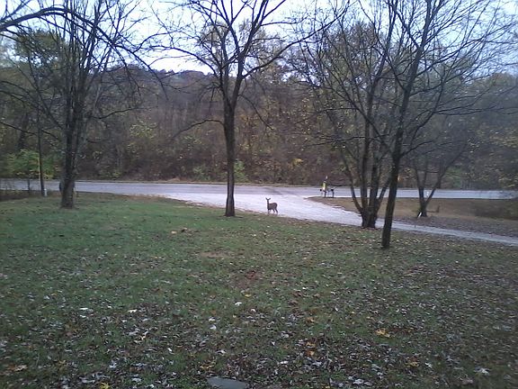 View from front porch
