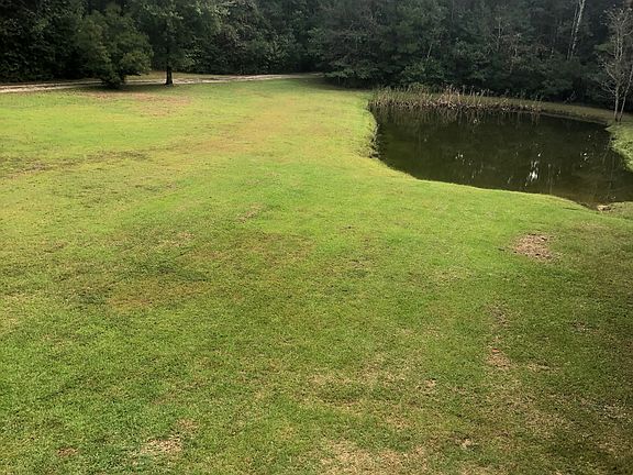 Front yard with pond.