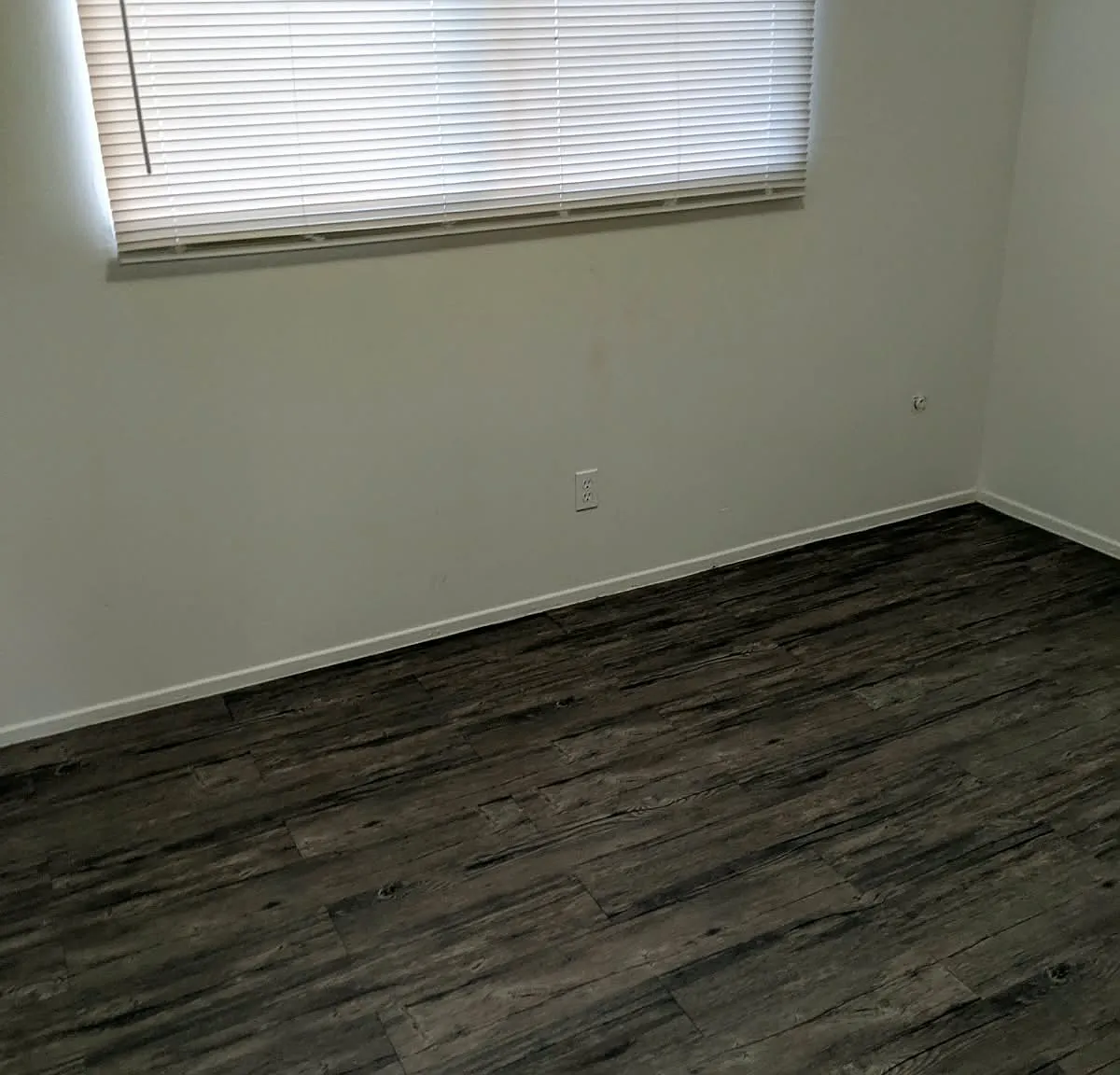2 bed, 780 sqft, $1,325 — Photo 4