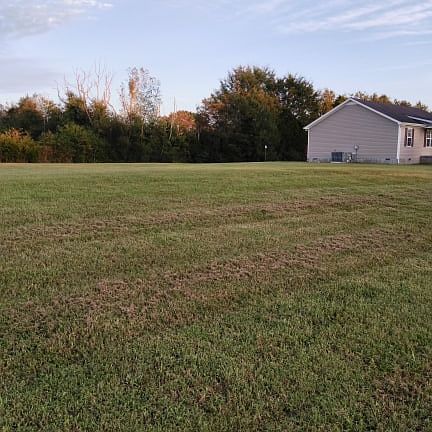 Side yard. Almost 1/2 Acres