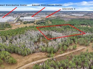 Unincorp Swfwmd #33, Polk City, FL 33868