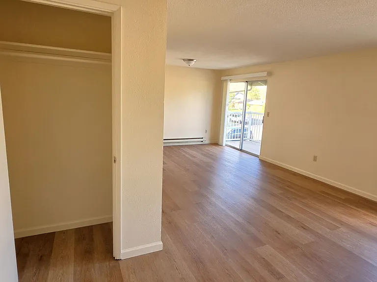 LIVING ROOM CLOSET