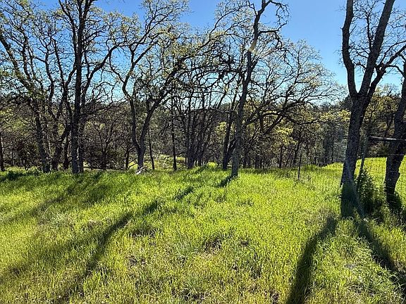 5th image of 16438 Longhorn Ln
