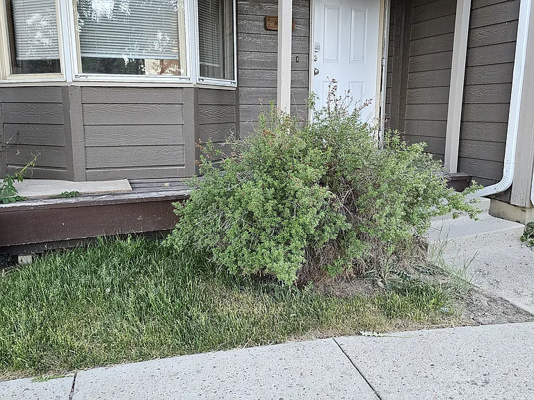 103 College Ct #D — Photo 35