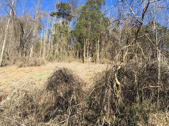 5th image of 59 Three Acres War Creek Rd