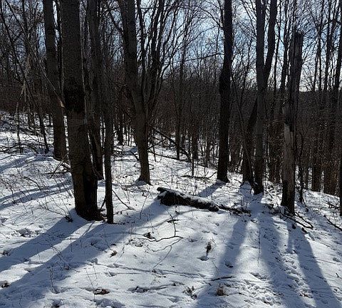2nd image of 0 County Rd E