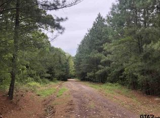 Brandon St, Troup, TX 75789