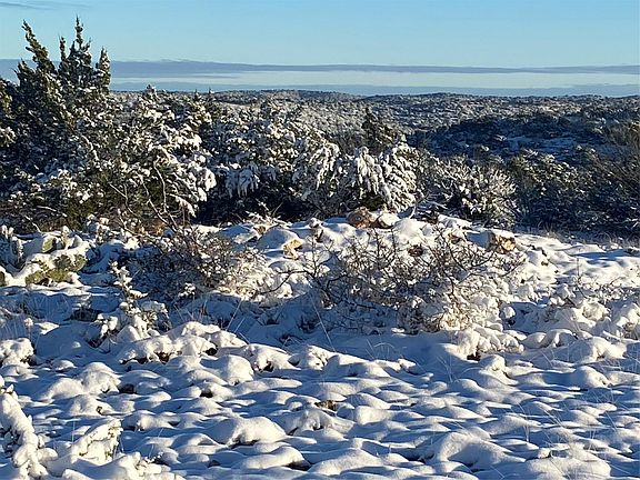 3rd image of Pinon Pne