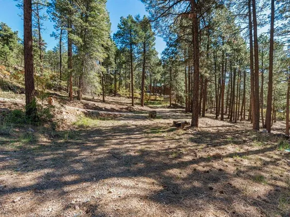 138 Green Ridge Drive, Bayfield, CO 81122