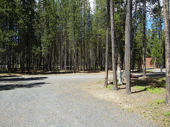 Road to your Cabin