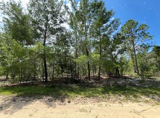 313 Shangri La St #10, Interlachen, FL 32148