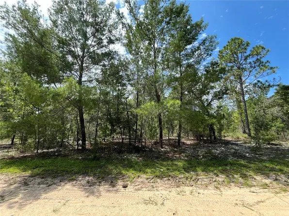 313 Shangri La St #10, Interlachen, FL 32148