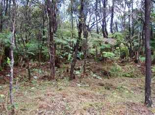 4th St LOT 357, Volcano, HI 96785