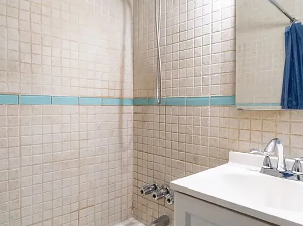 430 East 87th Street 2AA image 8 of 8
