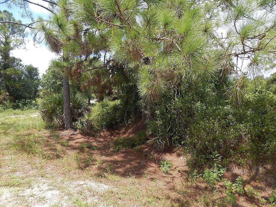 1st image of 8941 N Cacalia Dr