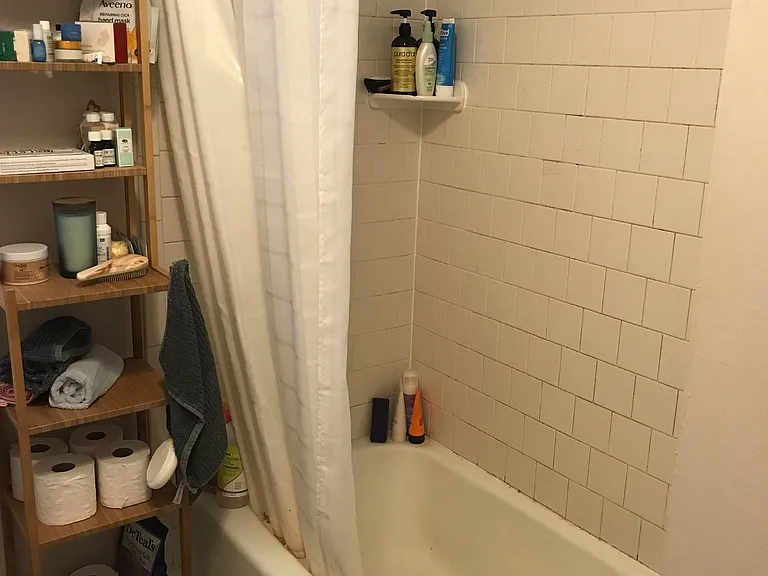 14 Rossmore Rd #1 — Photo 9