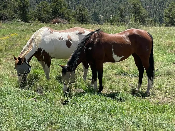 6077 N Cliff Rose, Williams, AZ 86046