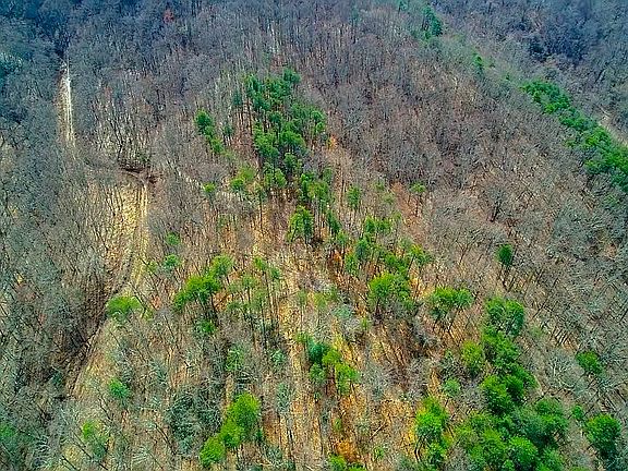 Large and Unrestricted