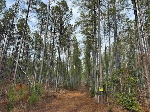 Access From Dogwood Dr, Farnham, VA 22460