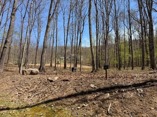 TRACT 11 Delafield Rd, Hot Springs, VA 24445