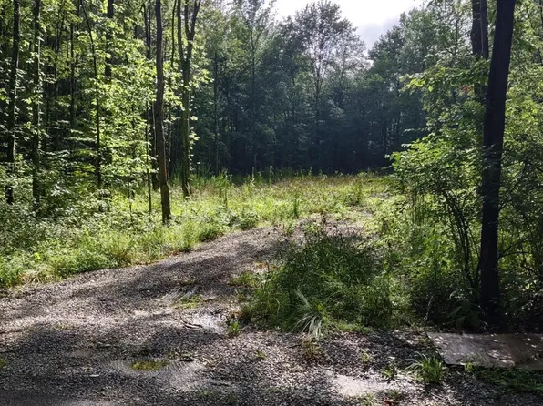 2851 Moore Rd, Bethel, OH 45106