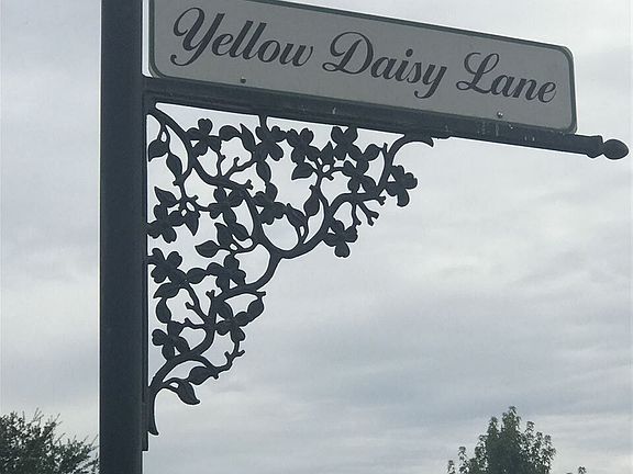 3rd image of Yellow Daisy Ln