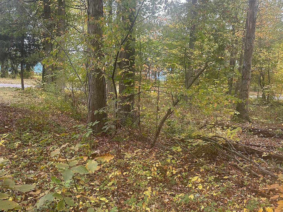 2nd image of 136 Black Horse Ln S