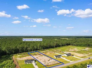 Tbd Highway 9, Loris, SC 29569