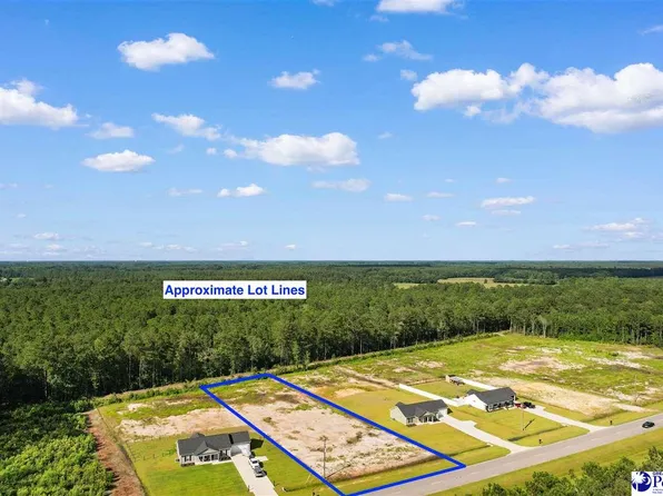 Tbd Highway 9, Loris, SC 29569