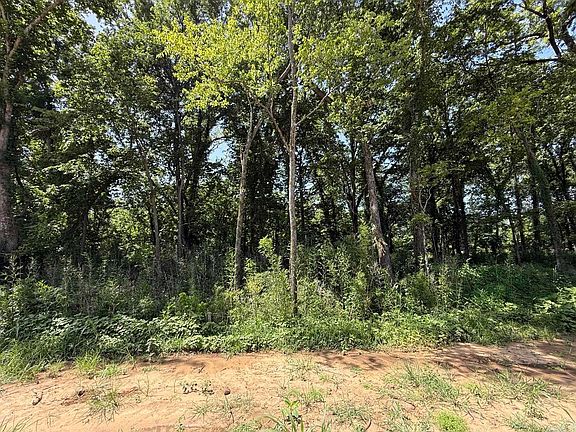 5th image of 38 River Ln