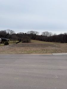 1962 Parade Dr LOT 127, Brentwood, TN, 37027