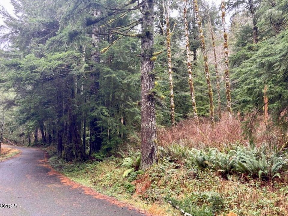 1st image of Tl100 Nf #17