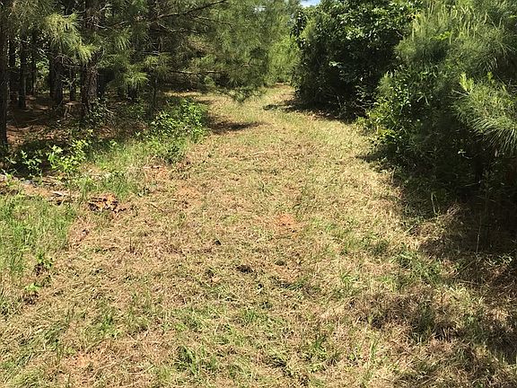 3rd image of Fm 251