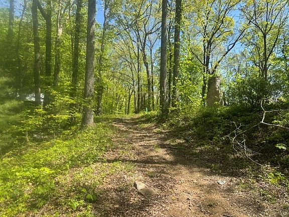 5th image of 557 Shelton Rd