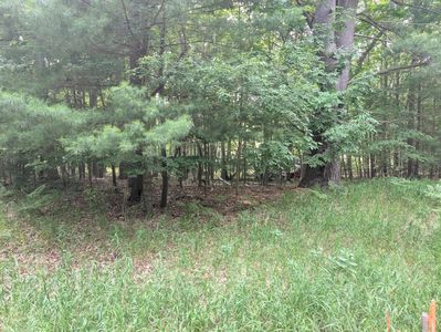 Tamarack St, Ludington, MI, 49431