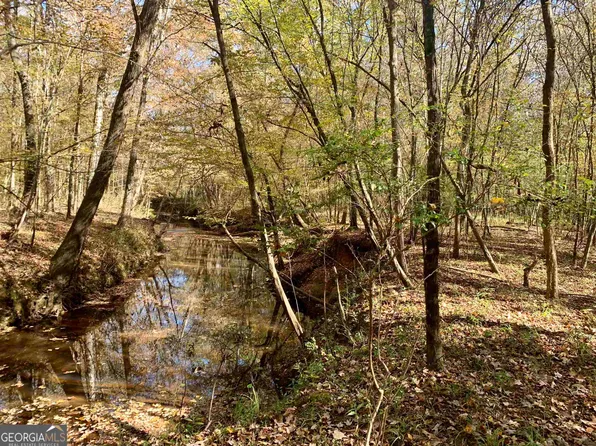 0 Roy Lawrence Rd, Sparta, GA 31087
