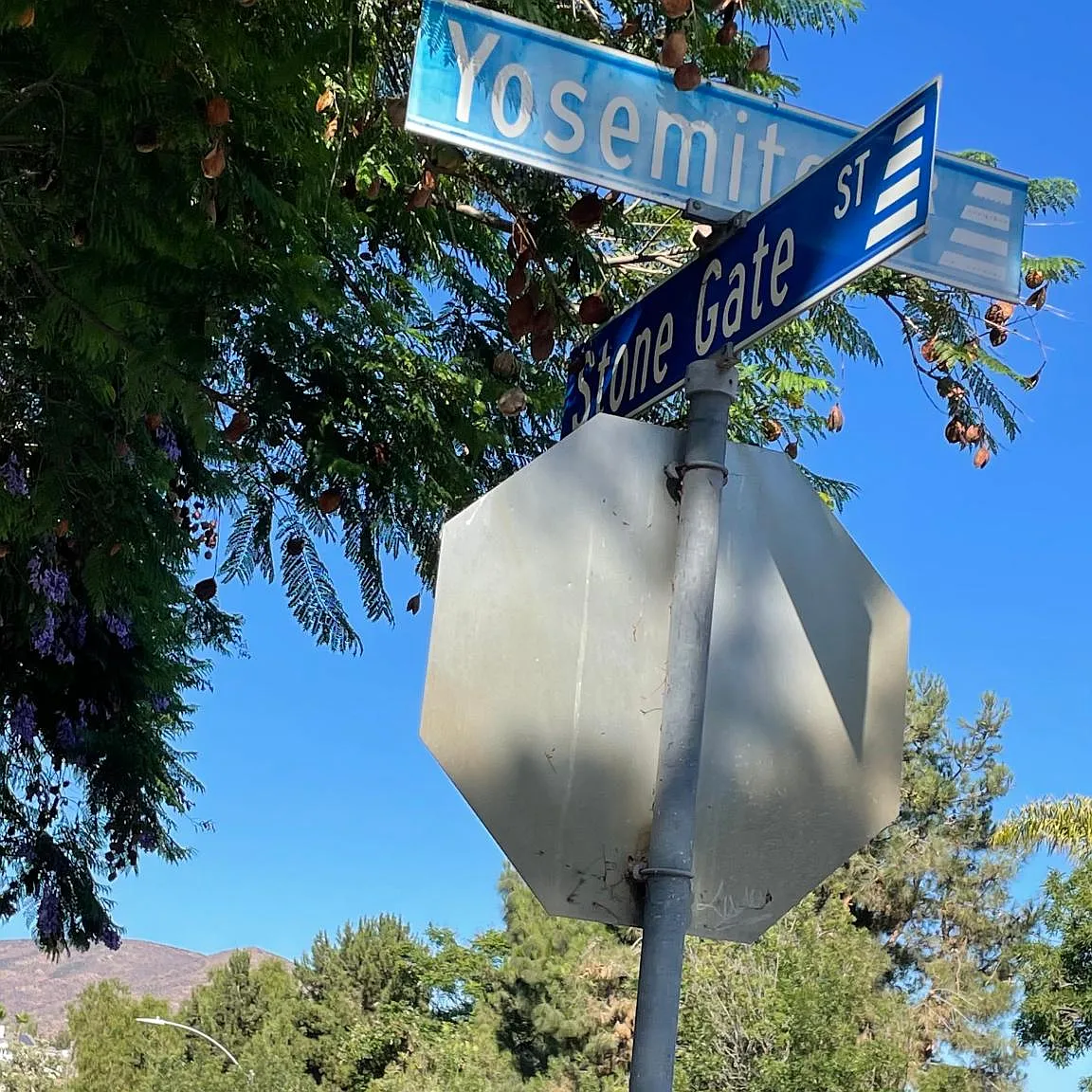 973 Yosemite Dr — Photo 2
