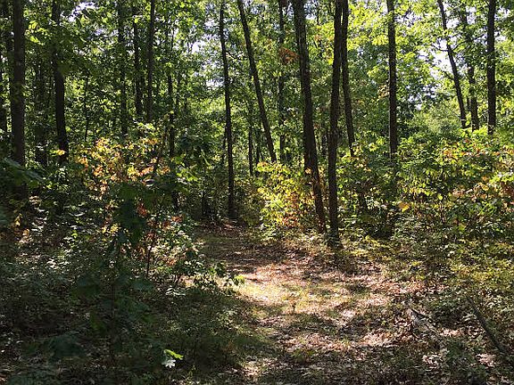 Walking trails