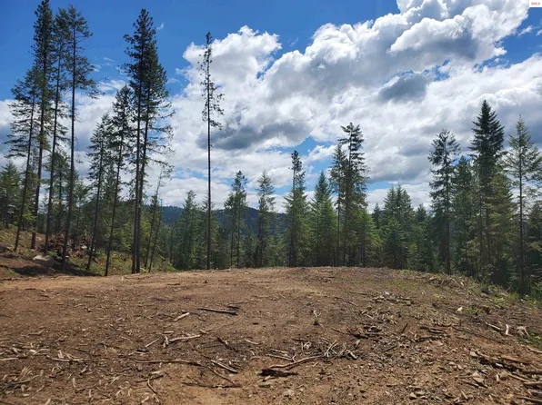 Nna Bloom Farm Rd Lot 2, Sagle, ID 83860