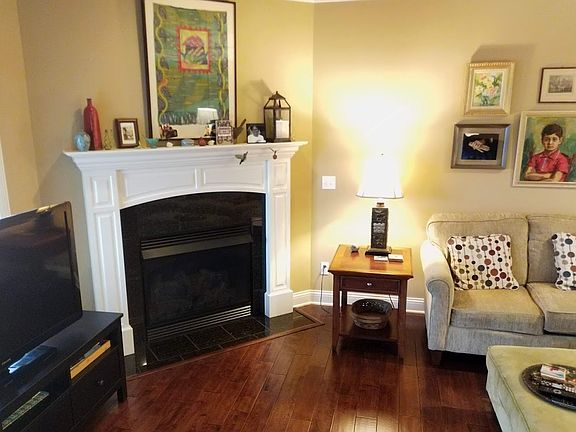 LivingRoom FirePlace (gas)