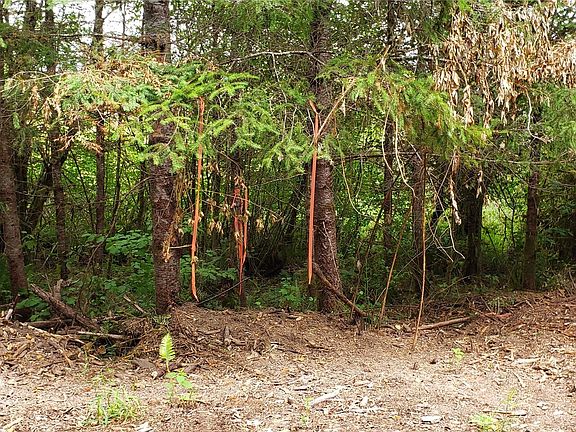 5th image of 196 Jensen Road