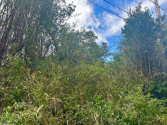 2nd image of Maunalani Tract Rd Lot 56