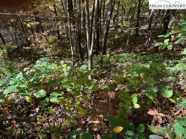 Lot 53 & 53a Poplar Trail, Creston, NC 28615