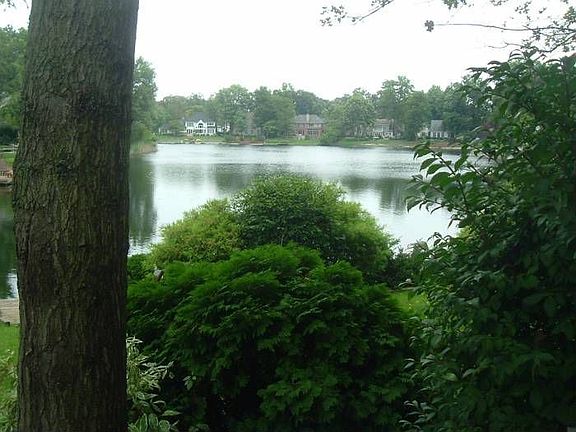 Rear Lake View