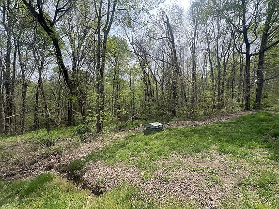 4th image of 200 Lake Ridge Rd Lot 6