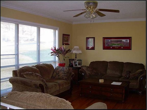 Sunny Living Room